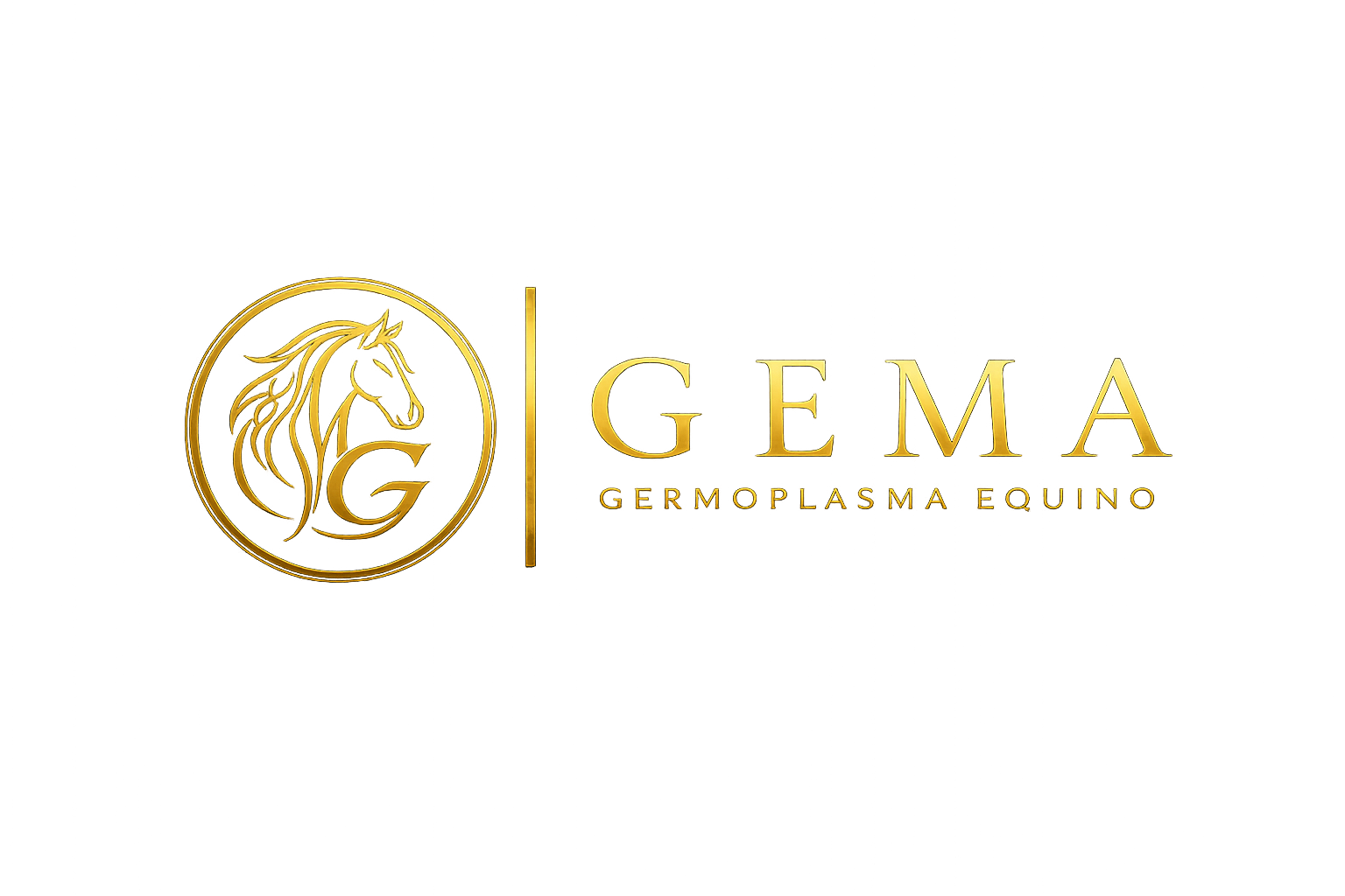 GEMA Logo